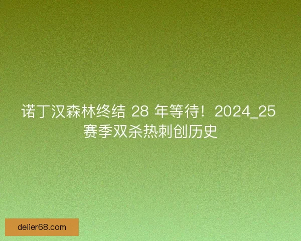 诺丁汉森林终结 28 年等待！2024_25 赛季双杀热刺创历史